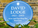Lodge, David (id=1803)